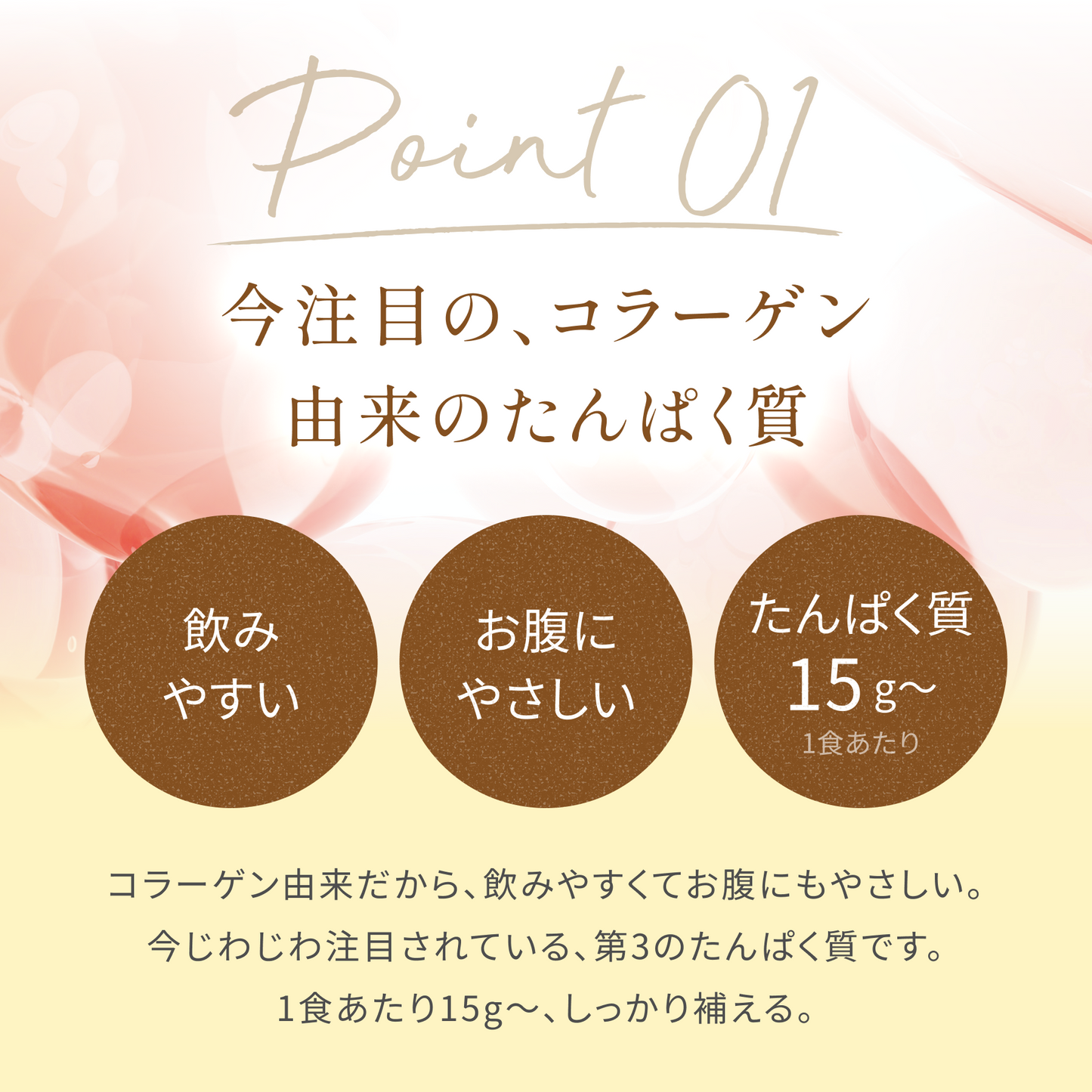 Welme All in One-Collagen Protein ザクロ風味
