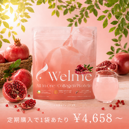 Welme All in One-Collagen Protein ザクロ風味
