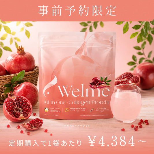 Welme All in One-Collagen Protein ザクロ風味