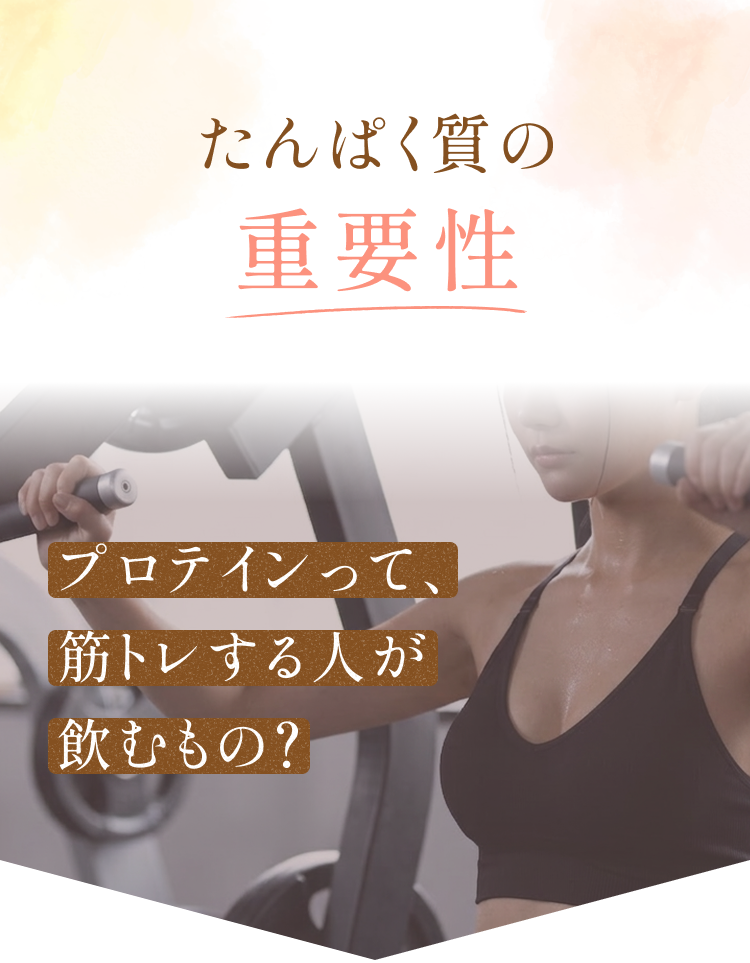 たんぱく質の重要性